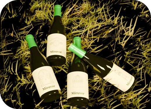 Botellas tiradas en el césped.